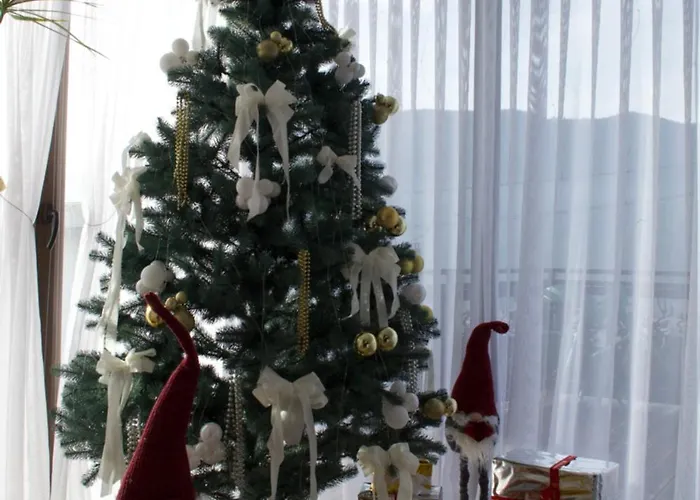 кичера еко Apartmán Mizhhirya (Transcarpathia)